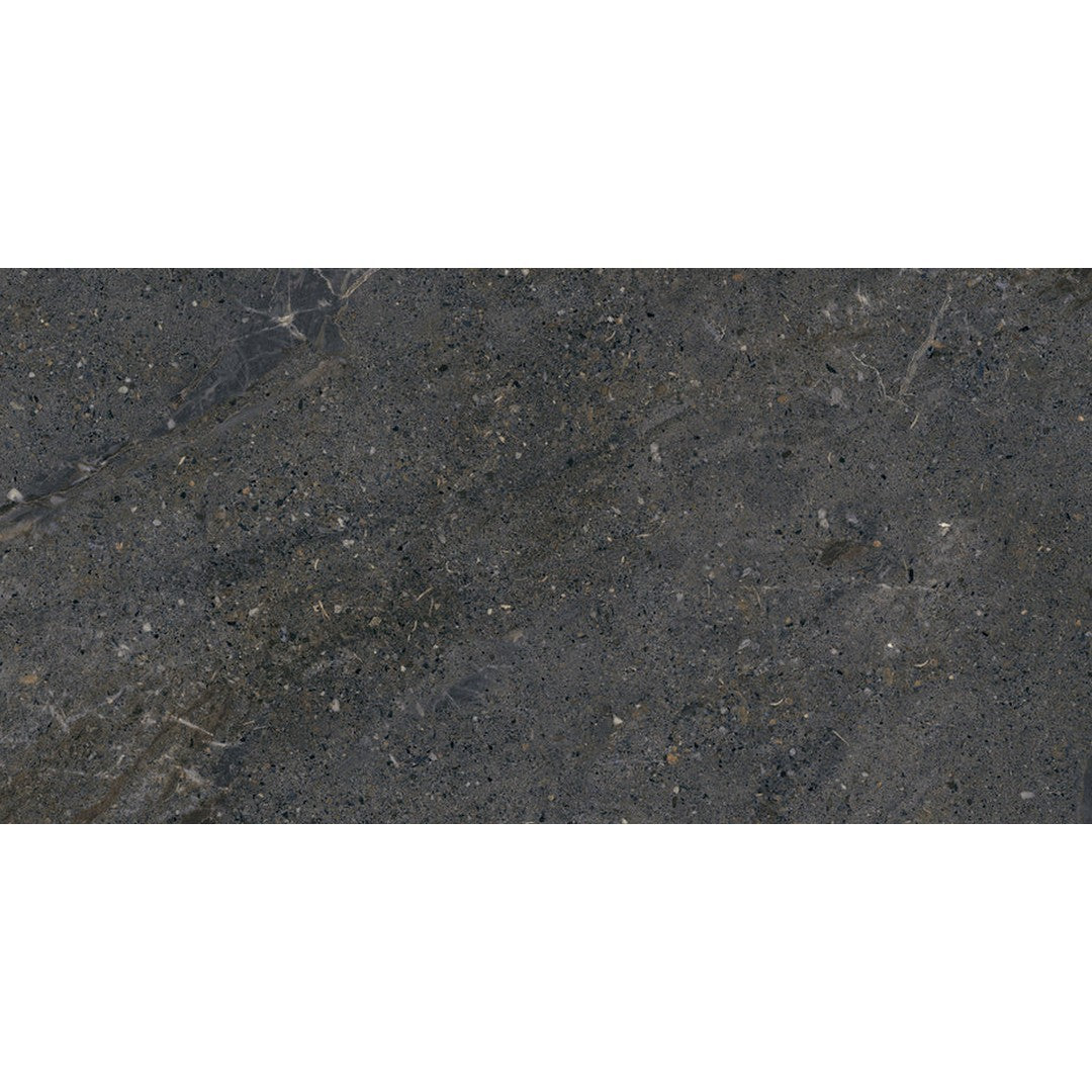 Emser Terramor 12" x 24" Matte Porcelain Tile