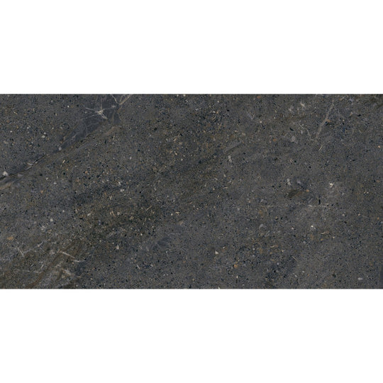 Emser Terramor 12" x 24" Matte Porcelain Tile