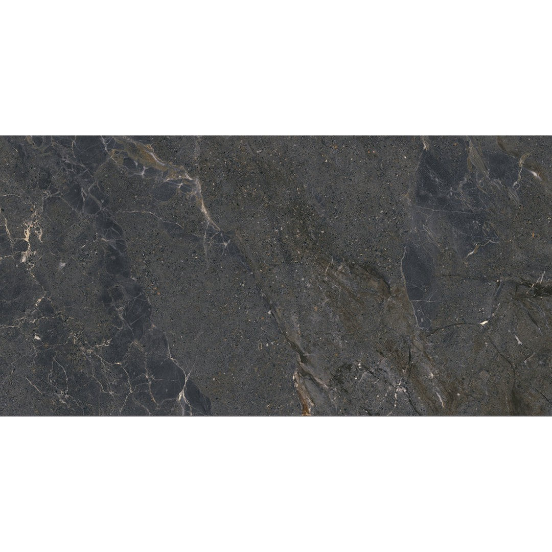 Emser Terramor 24" x 47" Matte Porcelain Tile