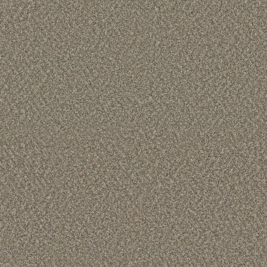 Phenix Floor Ever Suceed 12' Carpet Tile