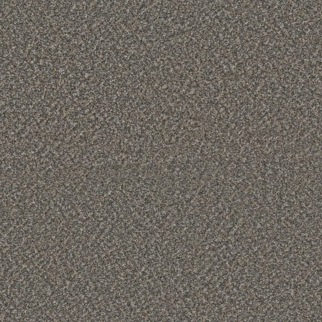 Phenix Floor Ever Suceed 12' Carpet Tile