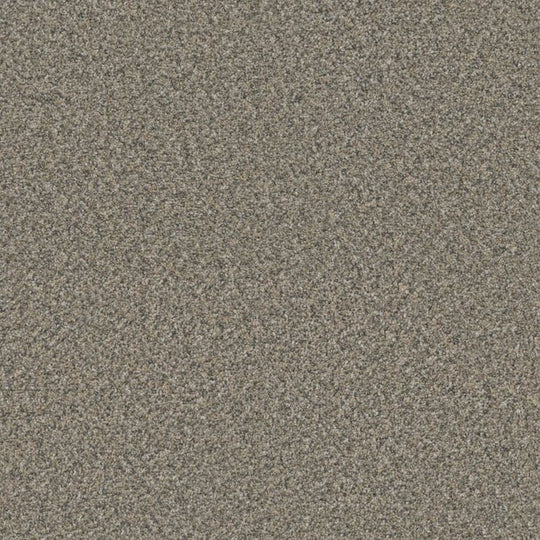 Phenix Floor Ever Surpass 12' Carpet Tile