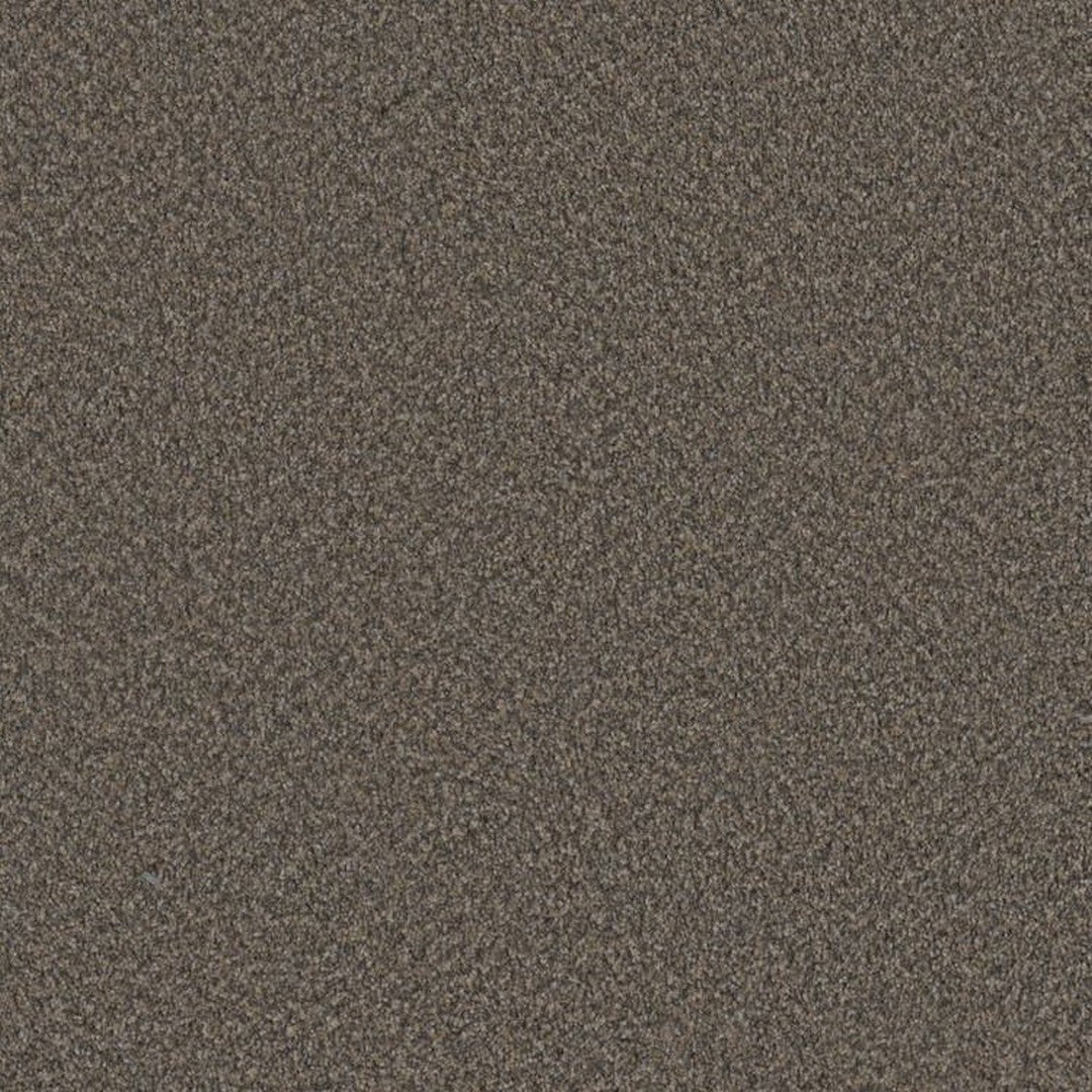 Phenix Floor Ever Surpass 12' Carpet Tile