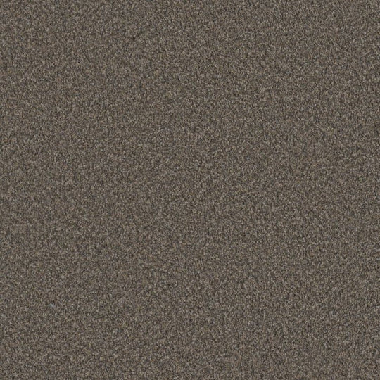 Phenix Floor Ever Surpass 12' Carpet Tile