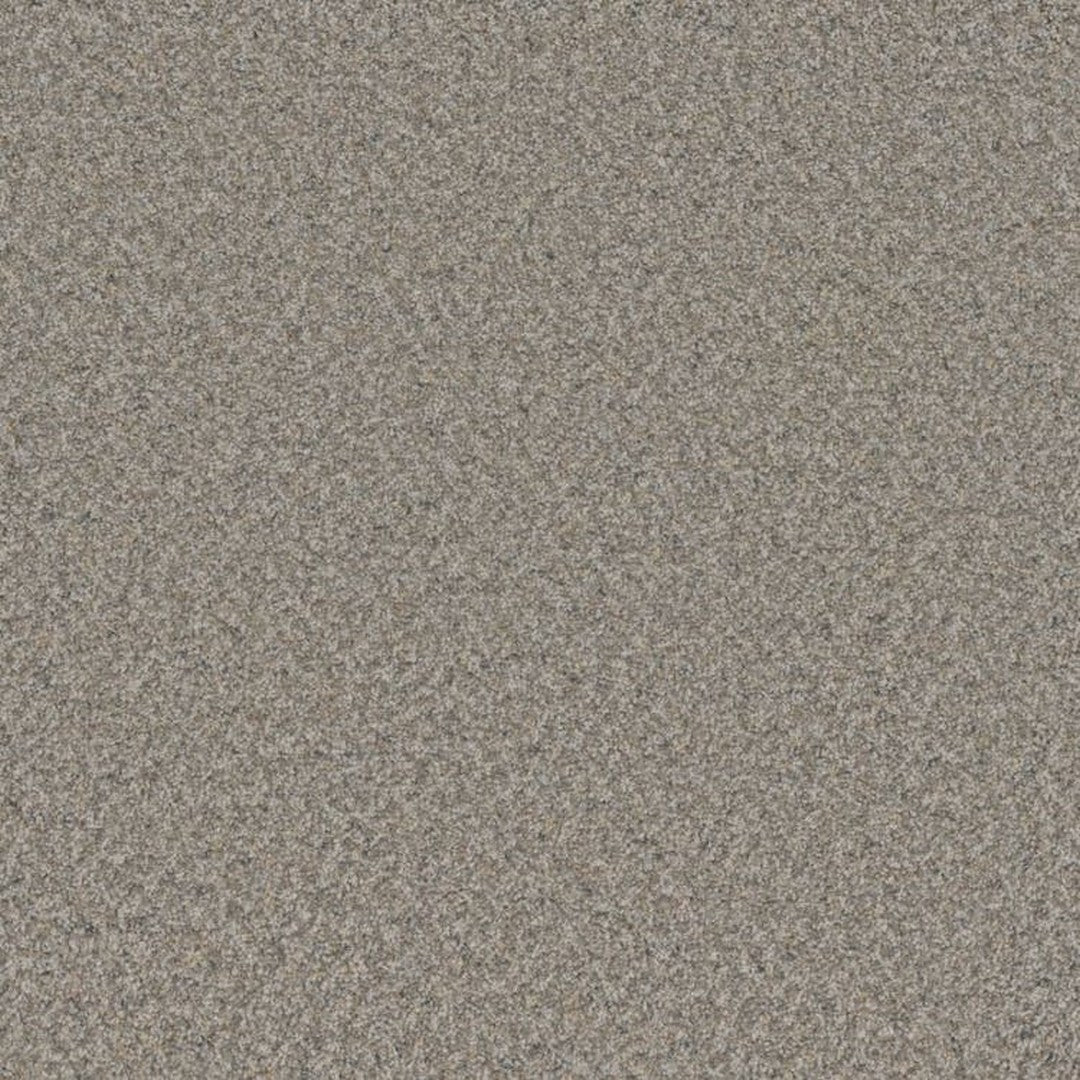 Phenix Floor Ever Surpass 12' Carpet Tile