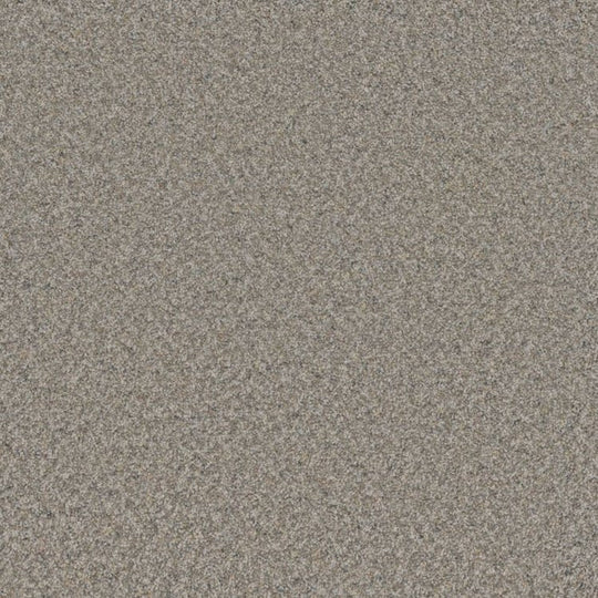 Phenix Floor Ever Surpass 12' Carpet Tile