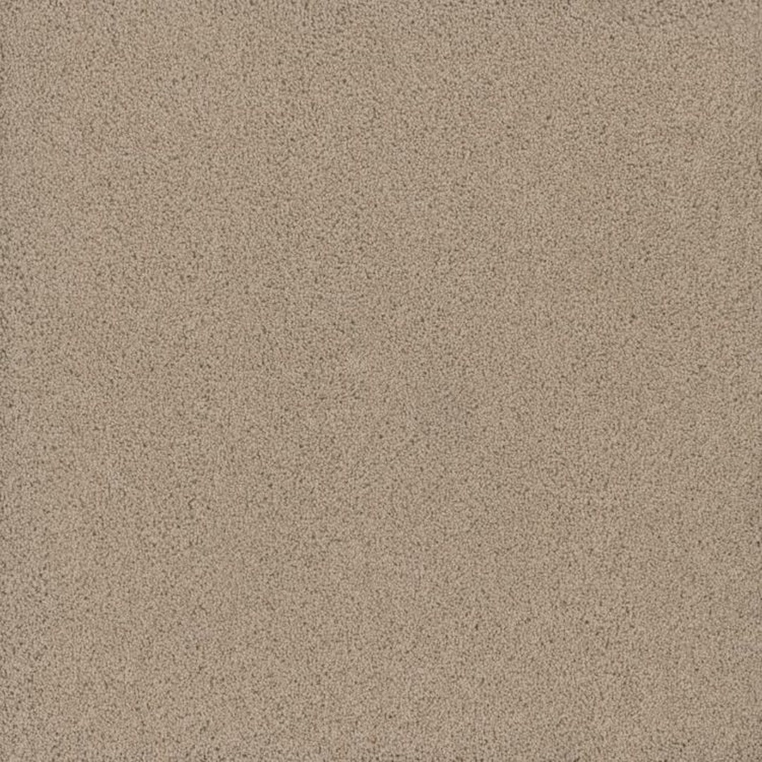 Phenix Floor Ever Achieve 12' Carpet Tile