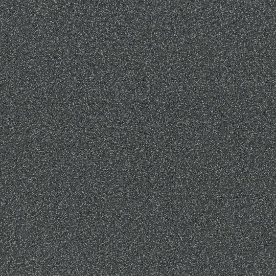 Phenix Floor Ever Achieve 12' Carpet Tile