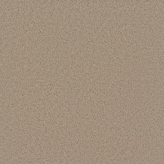 Phenix Floor Ever 12' Attain Carpet Tile