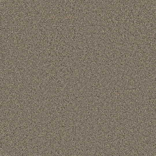 Phenix Floor Ever 12' Attain Carpet Tile