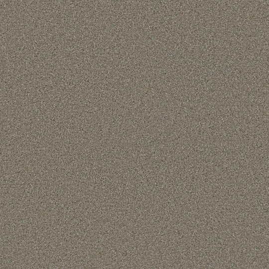 Phenix Floor Ever 12' Ebullient Carpet Tile