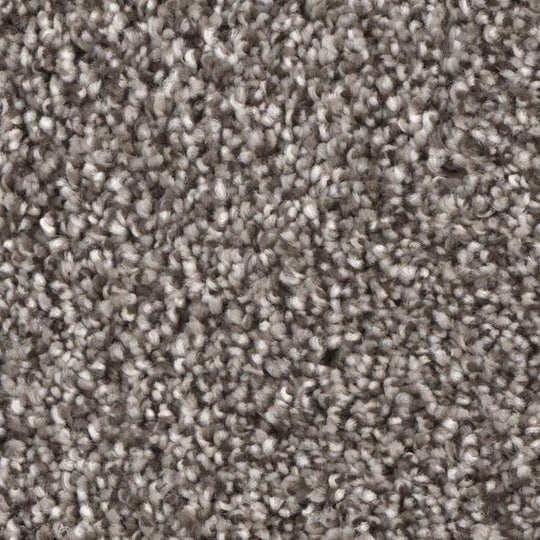 Phenix Floor Ever 12' Ebullient Carpet Tile
