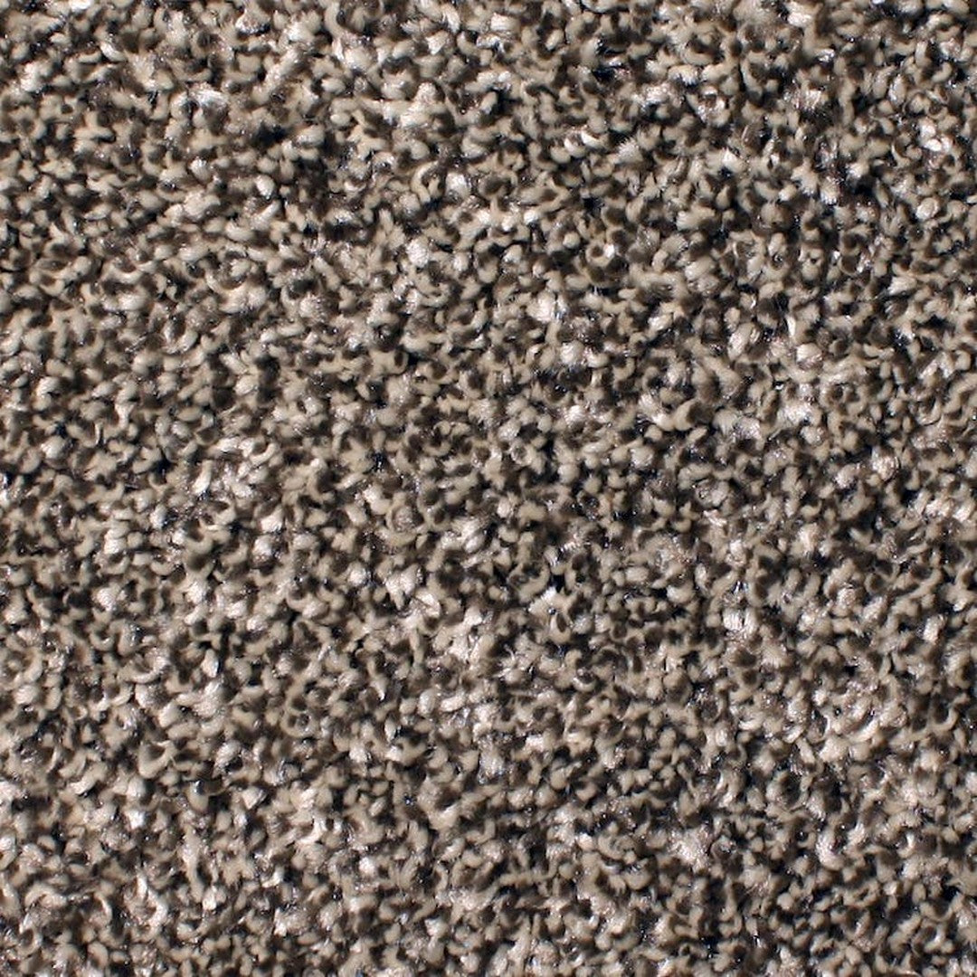 Phenix Floor Ever 12' Ebullient Carpet Tile