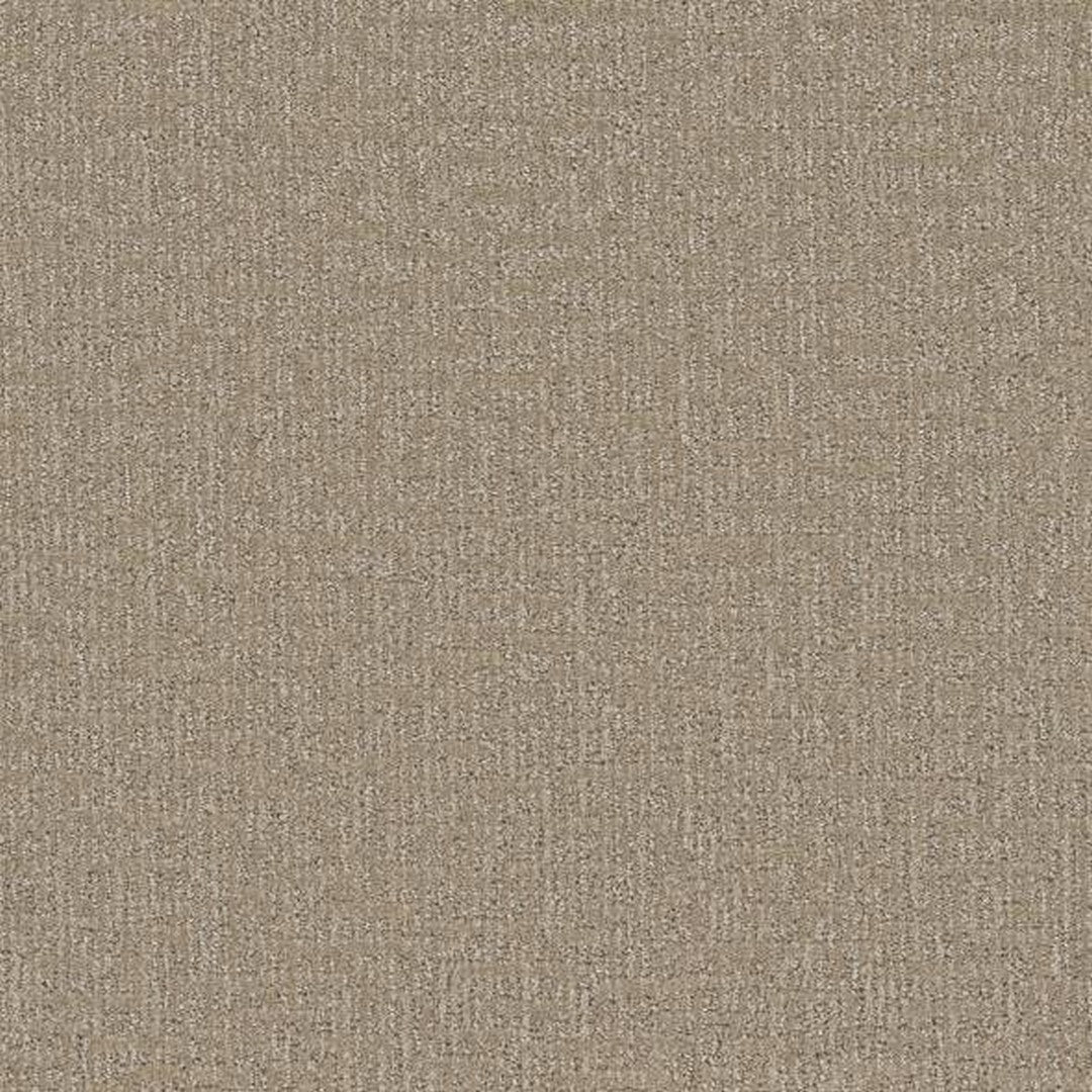 Phenix Floor Ever 12' Sonder Carpet Tile