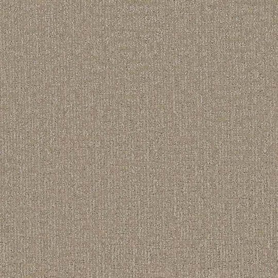 Phenix Floor Ever 12' Sonder Carpet Tile