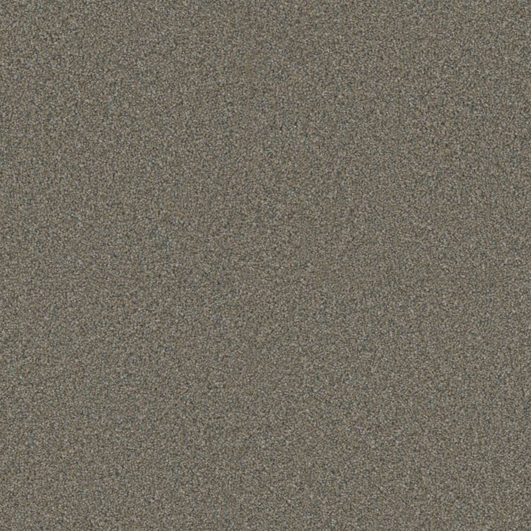 Phenix Floor Ever Eccentric 12' Carpet Tile