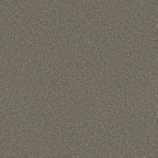 Phenix Floor Ever Eccentric 12' Carpet Tile