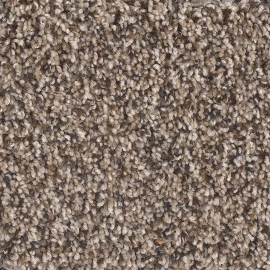 Phenix Floor Ever Eccentric 12' Carpet Tile