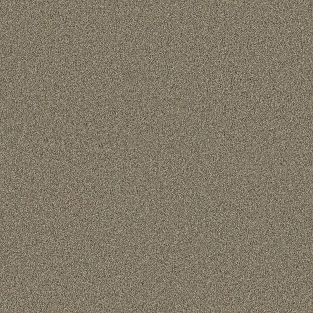 Phenix Floor Ever Eccentric 12' Carpet Tile