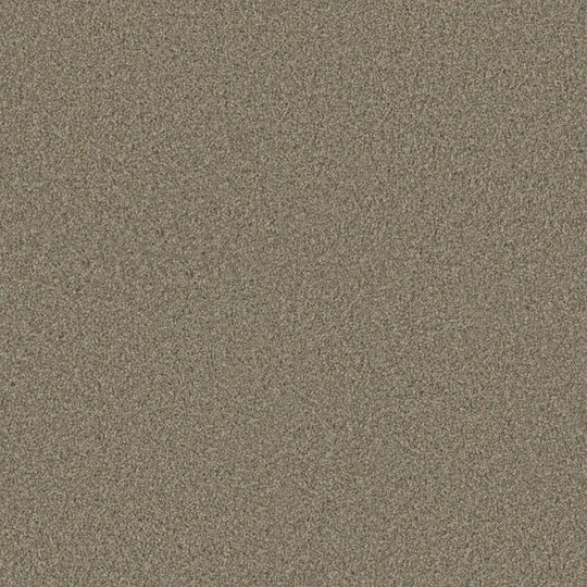 Phenix Floor Ever Eccentric 12' Carpet Tile