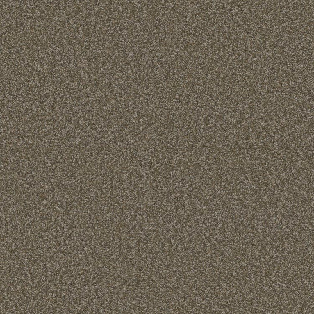 Phenix Floor Ever Eccentric 12' Carpet Tile