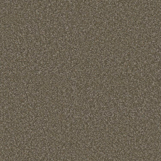 Phenix Floor Ever Eccentric 12' Carpet Tile