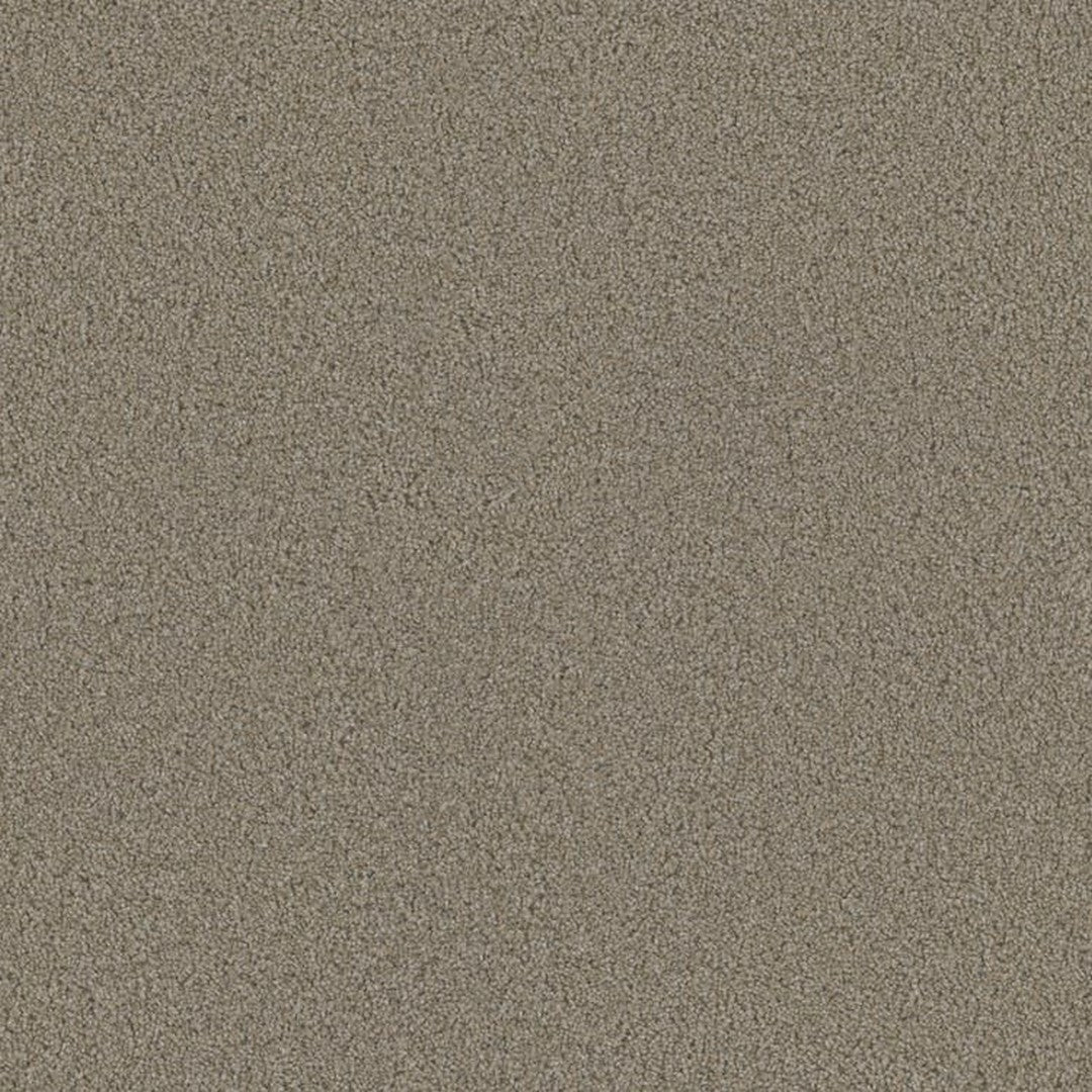 Phenix Floor Ever Eccentric 12' Carpet Tile