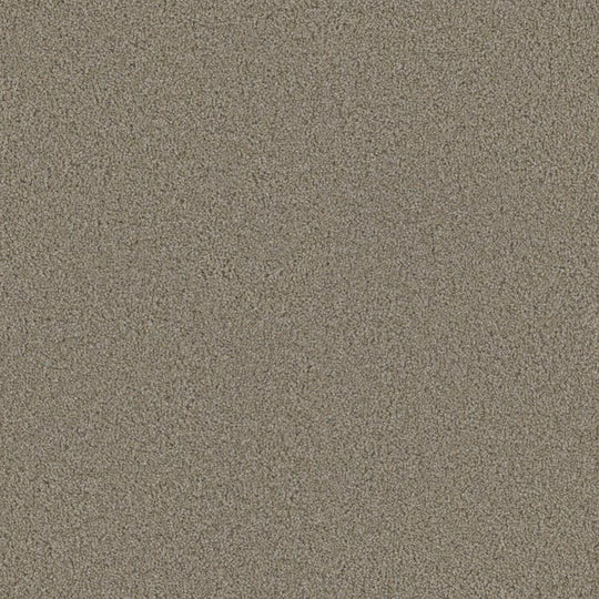 Phenix Floor Ever Eccentric 12' Carpet Tile