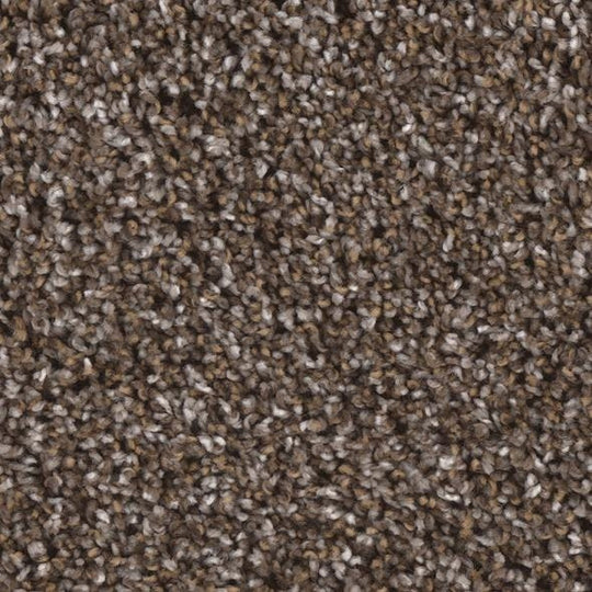 Phenix Floor Ever Eccentric 12' Carpet Tile