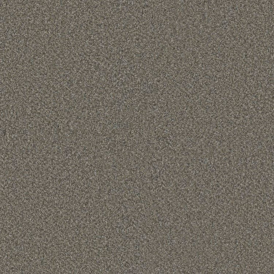 Phenix Floor Ever Eccentric 12' Carpet Tile