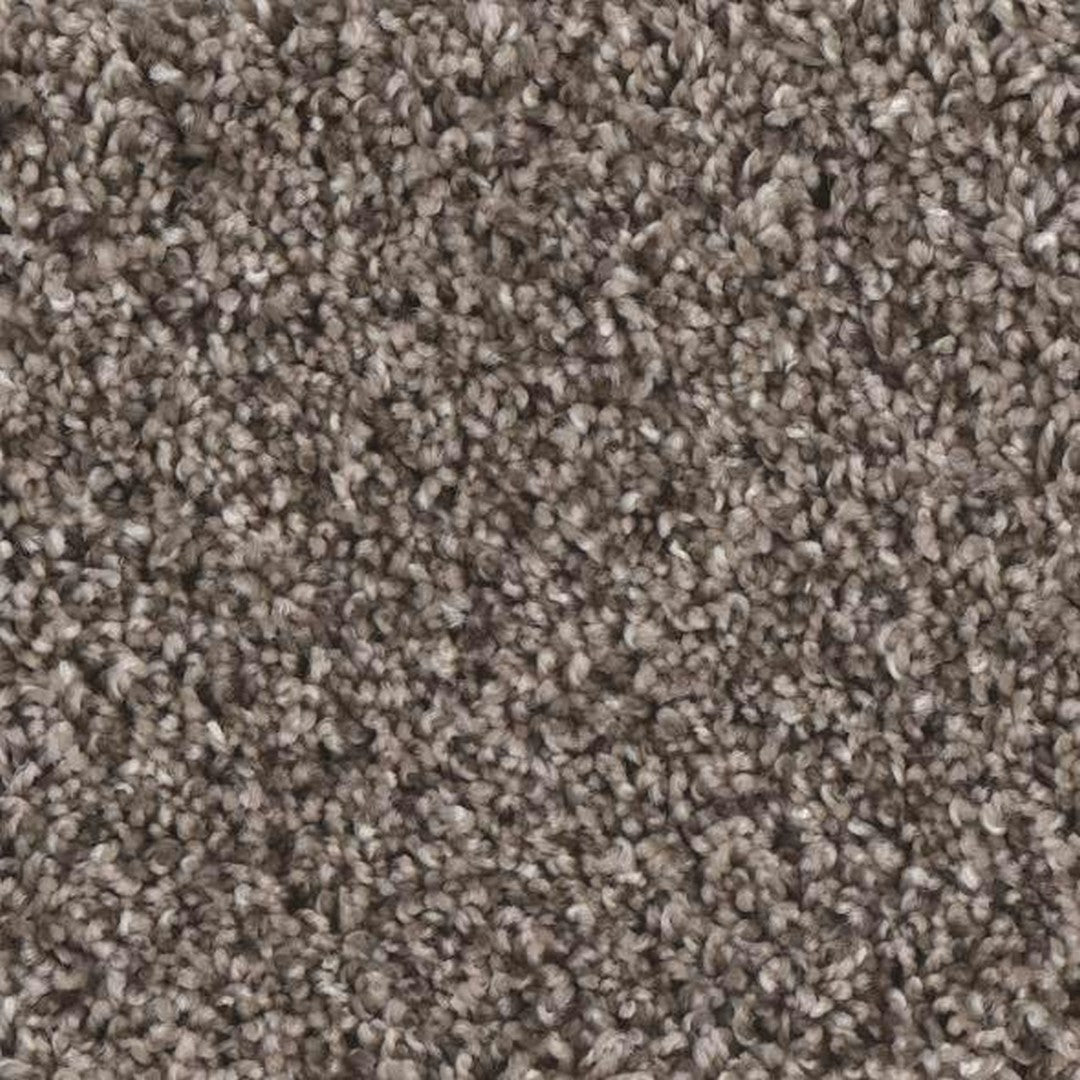 Phenix Floor Ever Eccentric 12' Carpet Tile