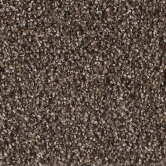 Phenix Floor Ever Eccentric 12' Carpet Tile