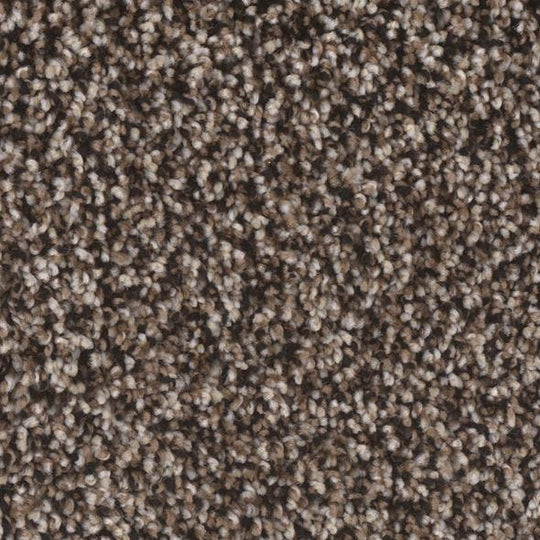 Phenix Floor Ever Eccentric 12' Carpet Tile