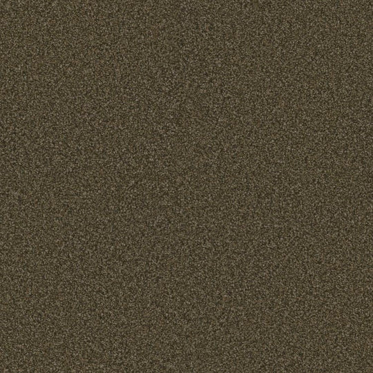 Phenix Floor Ever Eccentric 12' Carpet Tile