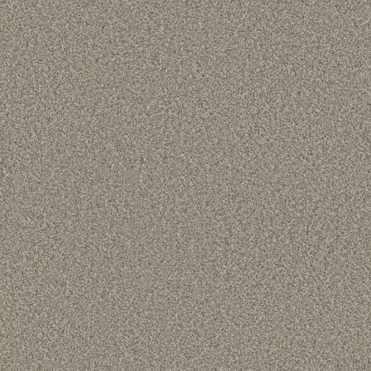 Phenix Floor Ever Eccentric 12' Carpet Tile