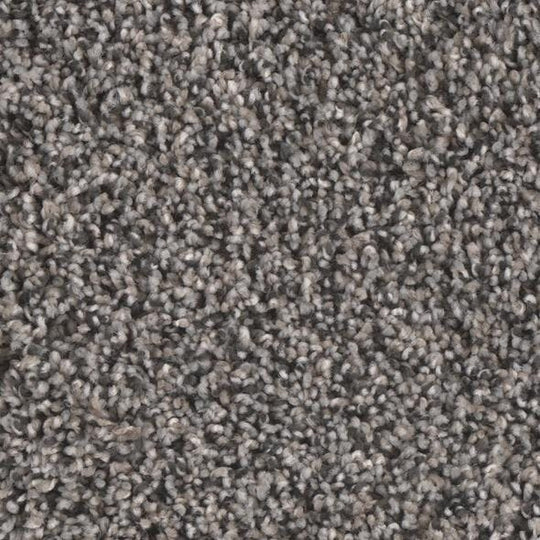 Phenix Floor Ever Eccentric 12' Carpet Tile