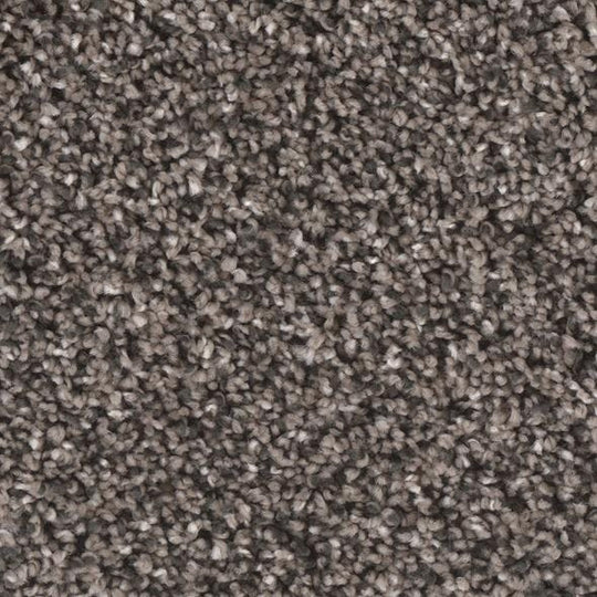 Phenix Floor Ever Eccentric 12' Carpet Tile