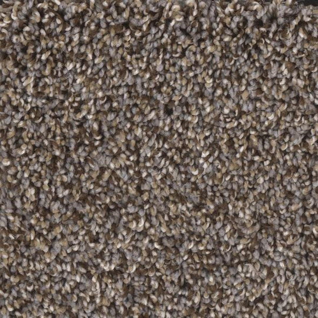 Phenix Floor Ever Eccentric 12' Carpet Tile