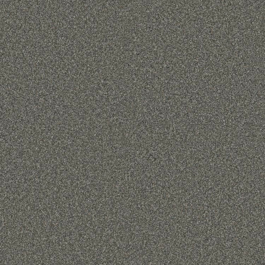 Phenix Floor Ever Eccentric 12' Carpet Tile