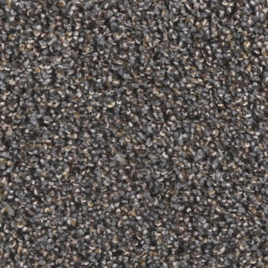 Phenix Floor Ever Eccentric 12' Carpet Tile