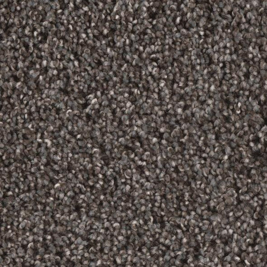 Phenix Floor Ever Eccentric 12' Carpet Tile