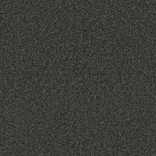 Phenix Floor Ever Eccentric 12' Carpet Tile