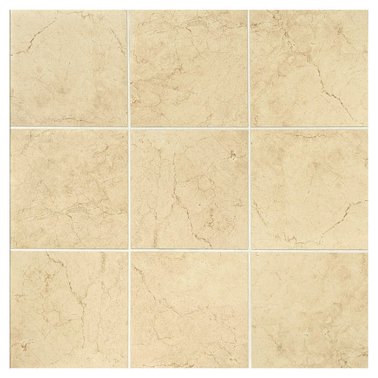 Daltile-Florentine-24-x-24-Rectified-Matte-Porcelain-Floor-Tile-Argento