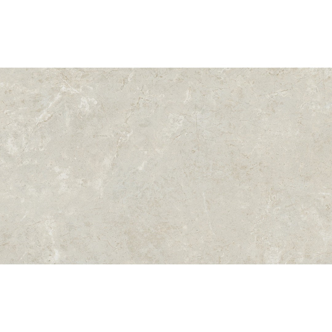 Daltile Florentine 12" x 24" Rectified Matte Porcelain Floor Tile