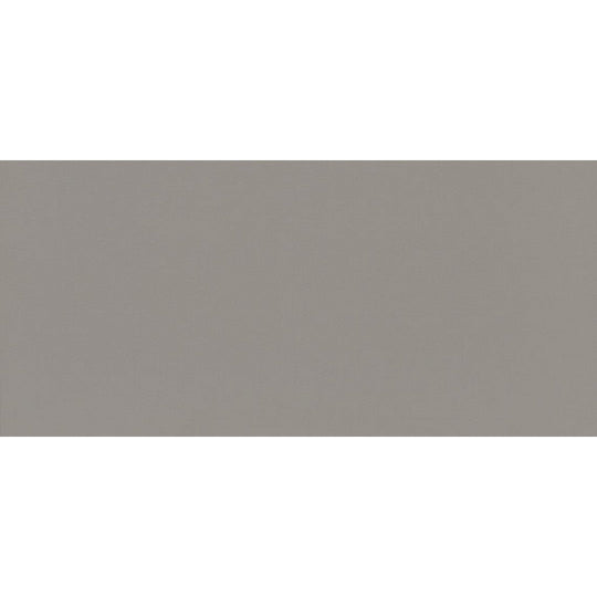 Daltile-Flat-12-x-24-Rectified-Matte-Porcelain-Floor-Tile-Rail