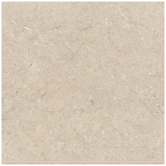 Bedrosians Poetry Stone 12" x 12" Matte Porcelain Field Tile