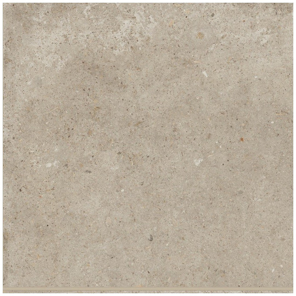 Bedrosians Poetry Stone 12" x 12" Matte Porcelain Field Tile