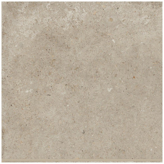 Bedrosians Poetry Stone 12" x 12" Matte Porcelain Field Tile