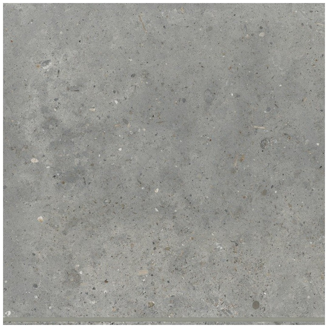 Bedrosians Poetry Stone 12" x 12" Matte Porcelain Field Tile