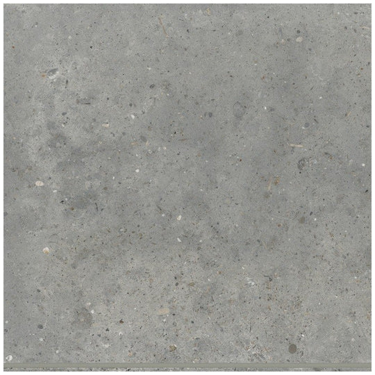 Bedrosians Poetry Stone 12" x 12" Matte Porcelain Field Tile
